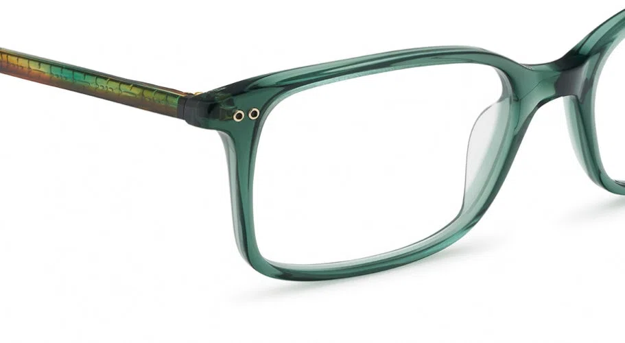 Etnia Barcelona BEGUR Eyeglasses - view 12